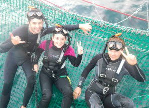 Dolphin Swim Australia - Attractions Brisbane 7