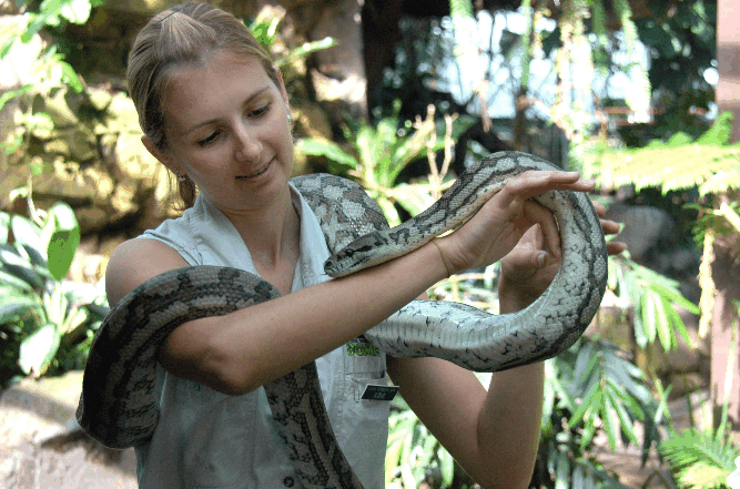 Cairns Wildlife Dome - Attractions Brisbane 2