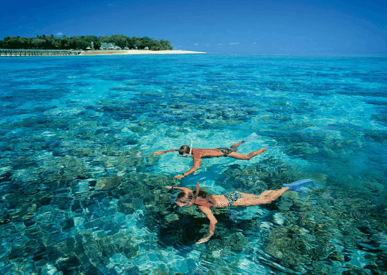 Big Cat Green Island Reef Cruises - Attractions Brisbane 4