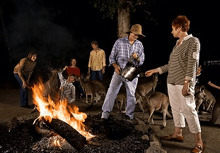 Cairns Night Zoo - Attractions Brisbane 0