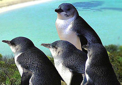 Rockingham Wild Encounters - Attractions Brisbane 0