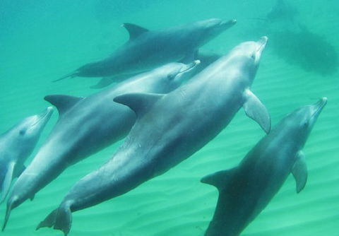 Rockingham Wild Encounters - Attractions Brisbane 4