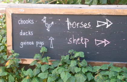 Collingwood Children's Farm - Attractions Brisbane 4