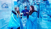 Book Fitzroy Accommodation Vacations Attractions Brisbane Attractions Brisbane