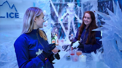 Icebar Melbourne - Attractions Brisbane 1