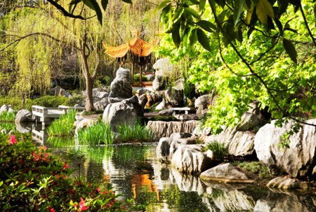 Chinese Garden Of Friendship - Attractions Brisbane 3