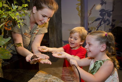 WILD LIFE Sydney Zoo - Attractions Brisbane 1