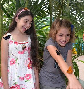 WILD LIFE Sydney Zoo - Attractions Brisbane 4