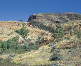 Mount Newman - Attractions Brisbane 0