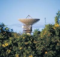 Big Dish - Attractions Brisbane