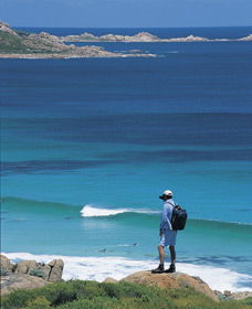 Smiths Beach - Attractions Brisbane 0