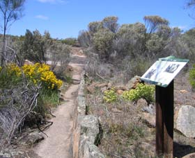 Wongan Hills WA Attractions Brisbane