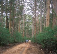 Boranup Drive - Attractions Brisbane