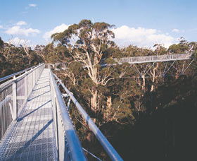 Walpole-Nornalup National Park - Attractions Brisbane 0