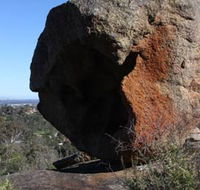 Eagle's View Walk John Forrest National Park - Attractions Brisbane