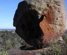 Eagle's View Walk, John Forrest National Park - Attractions Brisbane 0