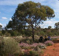 Karlkurla Bushland Park - Attractions Brisbane