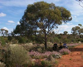 Karlkurla Bushland Park - Attractions Brisbane 0