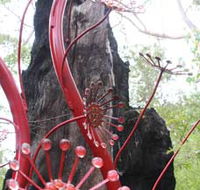 Understory Art In Nature - Attractions Brisbane