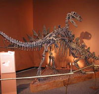 Denmark Dinosaur World - Attractions Brisbane