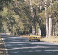 Ludlow Tuart Forest - Attractions Brisbane
