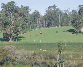 Scenic Drives - Bunbury Collie Donnybrook - Attractions Brisbane 0