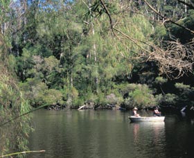 Warren National Park - Attractions Brisbane 0
