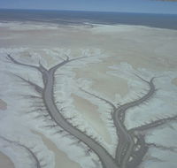 Tidal Flats - Attractions Brisbane