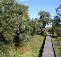 Kepwari Trails Wetland Wonderland - Attractions Brisbane