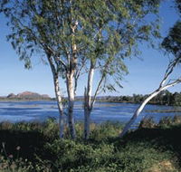 Celebrity Tree Park - Attractions Brisbane