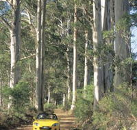 Mount Shadforth Scenic Drive - Attractions Brisbane