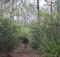 Margaret River Rails Trail - Attractions Brisbane