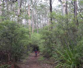 Margaret River Rails Trail - Attractions Brisbane 0