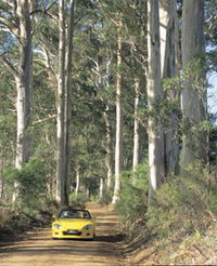 Scotsdale Tourist Drive
