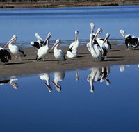 Peel Region Canoe Trails - Attractions Brisbane