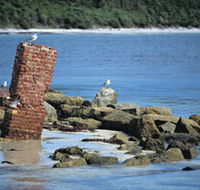 Whalers Beach - Attractions Brisbane