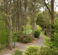 Mount Lofty Botanic Garden - Attractions Brisbane