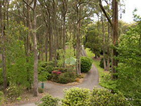 Mount Lofty Botanic Garden - Attractions Brisbane 0