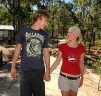 Crooked Brook Forest - Attractions Brisbane