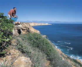 Dampier Salt Mines - Attractions Brisbane 0