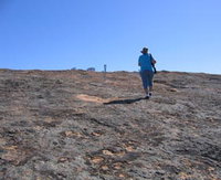Merredin Peak Trail