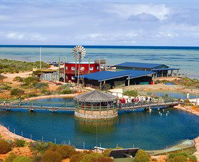 Shark Bay WA Attractions Brisbane