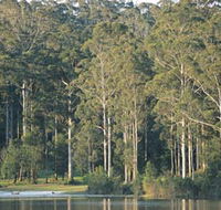 Big Brook Dam - Attractions Brisbane