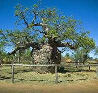 Pigeon Heritage Trail - Attractions Brisbane
