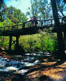 Barrabup Pool - Attractions Brisbane 0