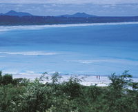 Book Bremer Bay Accommodation Vacations Attractions Brisbane Attractions Brisbane