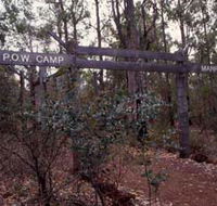 Marrinup Trail Dwellingup - Attractions Brisbane