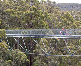 Walpole Wilderness Discovery Centre - Attractions Brisbane 0
