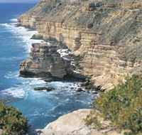 Island Rock and Natural Bridge - Attractions Brisbane