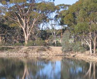 Merredin Railway Dam